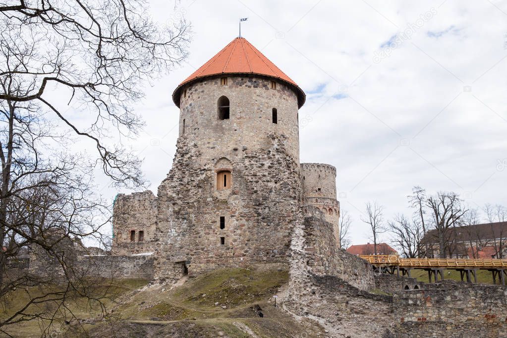 Old castle and rocks in spring. Nature and historic building. Tr