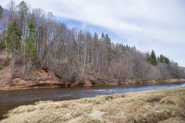  Kırmızı kayalar ve Gauja Nehri. İlkbaharda doğa ve güneş. 2019.