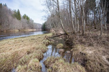 Su ve dalgalar, Gauja Nehri. İlkbaharda doğa ve güneş. 2019
