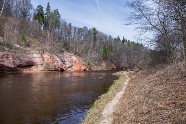  Kırmızı kayalar ve Gauja Nehri. İlkbaharda doğa ve güneş. 2019.