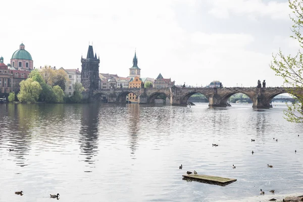Ville Prague, République tchèque. Vue sur la rivière et les ponts de — Photo