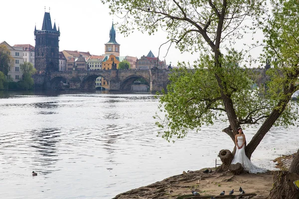 Ville Prague, République tchèque. Photographes et modèles de mariages , — Photo