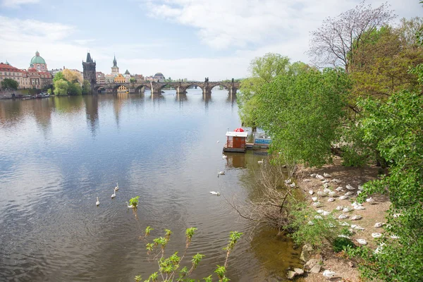 Город Прага, Чехия. Старый Карлов мост и здания. C — стоковое фото