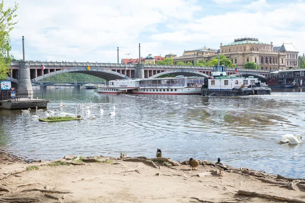 Şehir Prag, Çek Cumhuriyeti. Nehirde turistlerin olduğu bir tekne, — Stok fotoğraf