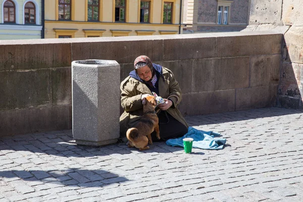City Prague, Czech Republic. On the street the beggar with dog t — Stock Photo, Image