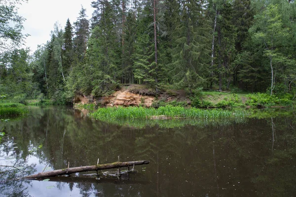 Stadt straupe, lettische Republik. Rote Felsen und der Fluss Brasla. gree — Stockfoto