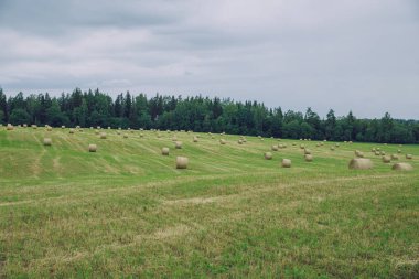 City Cesis, Letonya Cumhuriyeti. Bulutlu gün, çayır saman rulo ve 