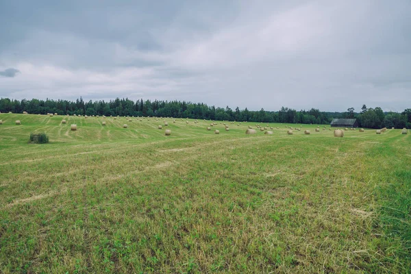 Місто церез, Латвія Республіка. Похмурий день, Луговий сіно рулонах та — стокове фото