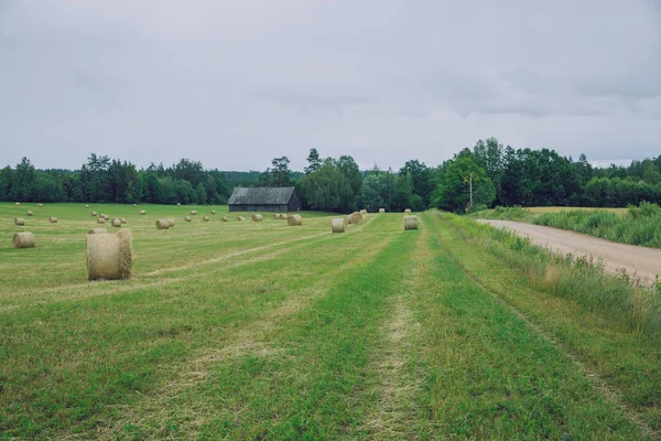 City Cesis, Latvia Republic. Overcast day, meadow hay rolls and — Stock Photo, Image