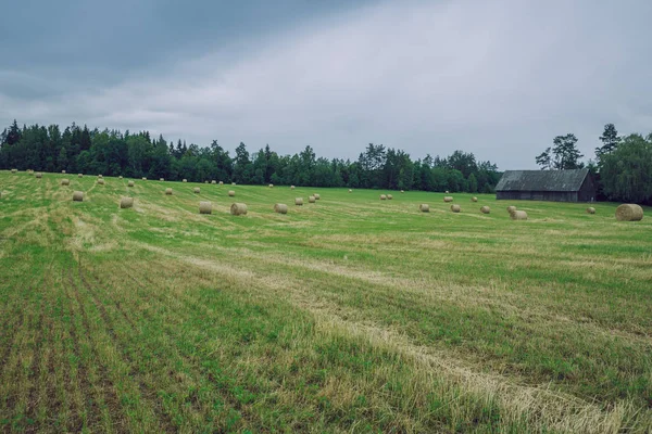 City Cesis, Lettország Köztársaság. Borús nap, rét széna tekercs és — Stock Fotó