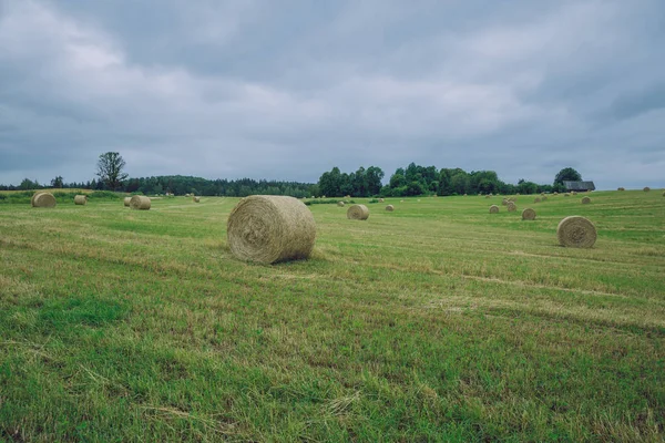 City Cesis, Letónia República. Dia nublado, rolos de feno de prado e — Fotografia de Stock