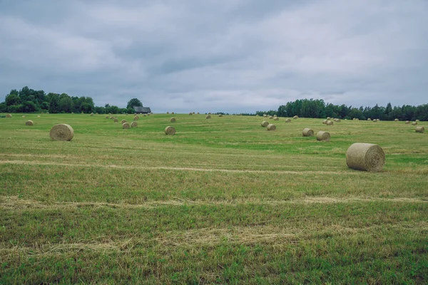 City Cesis, Letónia República. Dia nublado, rolos de feno de prado e — Fotografia de Stock