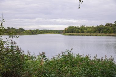 City Carnikava, Letonya Cumhuriyeti. Ri ile yaz aylarında yeşil doğa