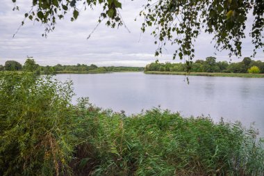 City Carnikava, Letonya Cumhuriyeti. Ri ile yaz aylarında yeşil doğa