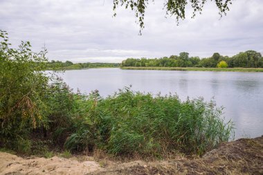 City Carnikava, Letonya Cumhuriyeti. Ri ile yaz aylarında yeşil doğa