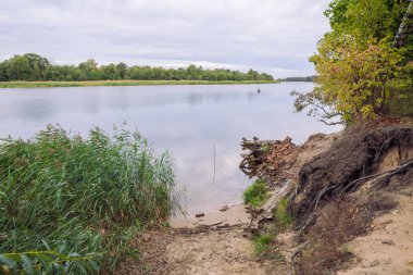 City Carnikava, Letonya Cumhuriyeti. Ri ile yaz aylarında yeşil doğa