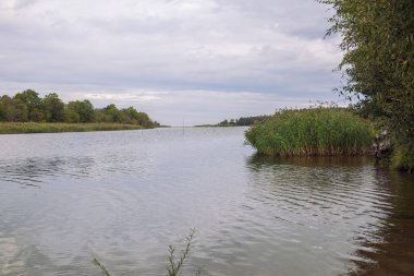 City Carnikava, Letonya Cumhuriyeti. Ri ile yaz aylarında yeşil doğa