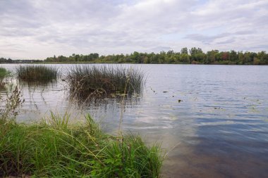 City Carnikava, Letonya Cumhuriyeti. Ri ile yaz aylarında yeşil doğa