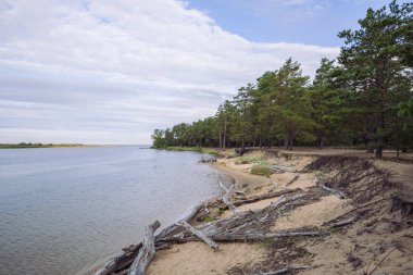 City Carnikava, Letonya Cumhuriyeti. Ri ile yaz aylarında yeşil doğa