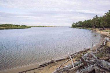 City Carnikava, Letonya Cumhuriyeti. Ri ile yaz aylarında yeşil doğa
