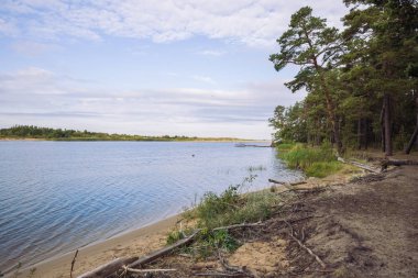 City Carnikava, Letonya Cumhuriyeti. Ri ile yaz aylarında yeşil doğa