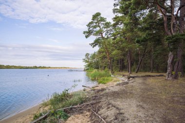 City Carnikava, Letonya Cumhuriyeti. Ri ile yaz aylarında yeşil doğa