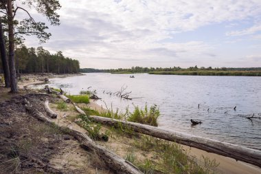 City Carnikava, Letonya Cumhuriyeti. Ri ile yaz aylarında yeşil doğa