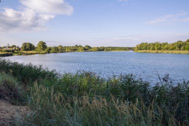 City Carnikava, Letonya Cumhuriyeti. Ri ile yaz aylarında yeşil doğa