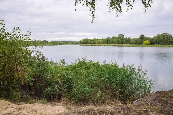 City Carnikava, Letonya Cumhuriyeti. Ri ile yaz aylarında yeşil doğa