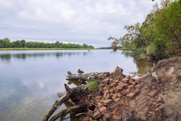 City Carnikava, Letonya Cumhuriyeti. Ri ile yaz aylarında yeşil doğa