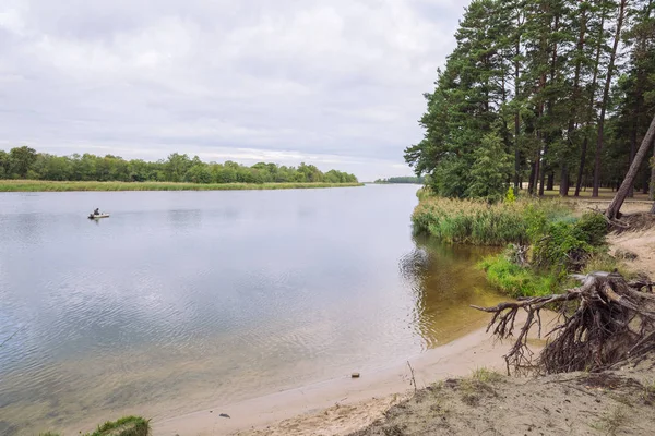 City Carnikava, Letonya Cumhuriyeti. Ri ile yaz aylarında yeşil doğa