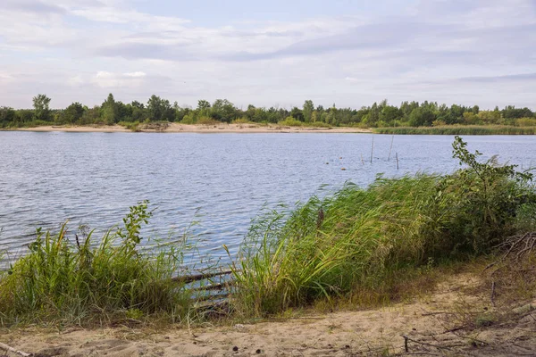 Город Карникава, Латвийская Республика. Зеленая природа летом с Ri — стоковое фото