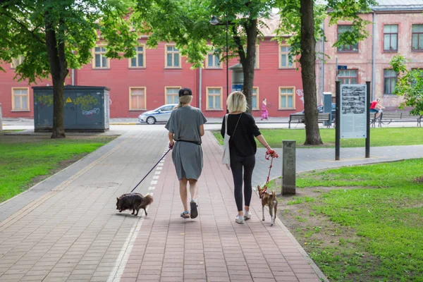 Ciudad Riga, República de Letonia. Las mujeres caminan en el parque con perros. 2. — Foto de Stock