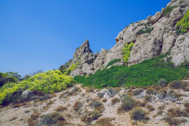 Yunan Cumhuriyeti. Tarlalar, dağlar, çimenler ve ağaçlar. Di içinde