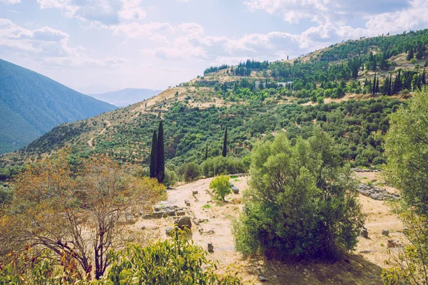 City Delphi. República Griega. Campos y montañas, pasto y tre — Foto de Stock