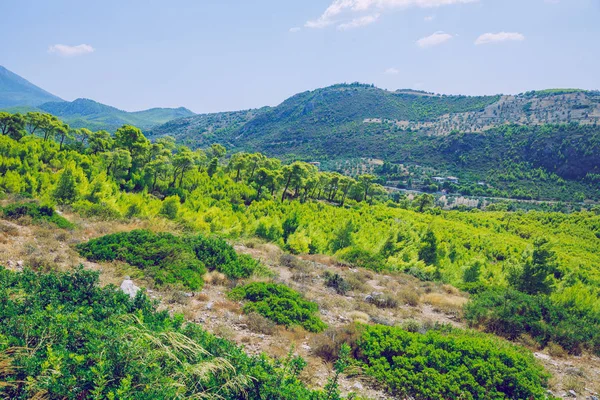 City Delphi. República Griega. Naturaleza y montañas en una suma soleada — Foto de Stock