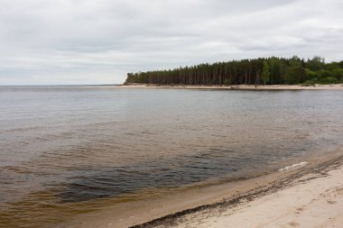 Letonya, Carnikava Şehri. Baltık Denizi kıyısında kum ve ağaçlarla yürüme yeri. 03.06.2020