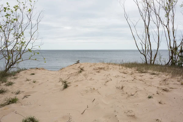 Город Карникава Латвия Прогулочное Место Берегу Балтийского Моря Песком Деревьями — стоковое фото