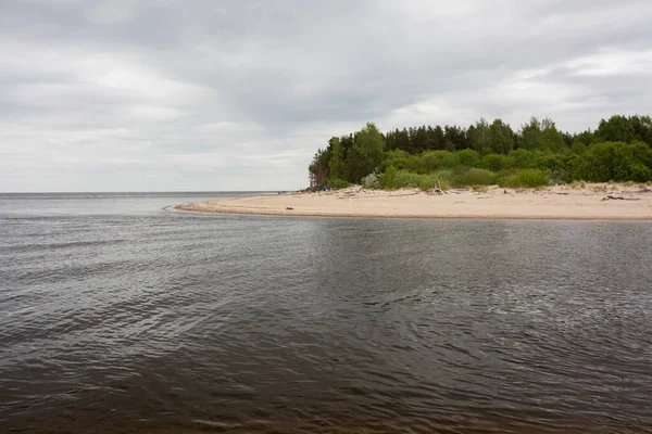 Město Carnikava Lotyšsko Turistické Místo Baltského Moře Pískem Stromy 2020 — Stock fotografie