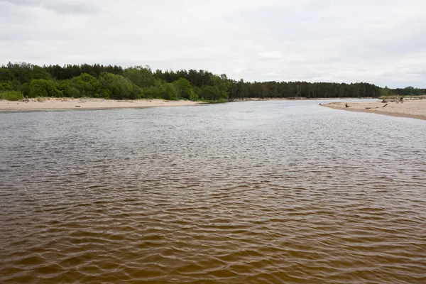 Город Карникава Латвия Зеленая Природа Летом Рекой Гауя Волнами 2020 — стоковое фото