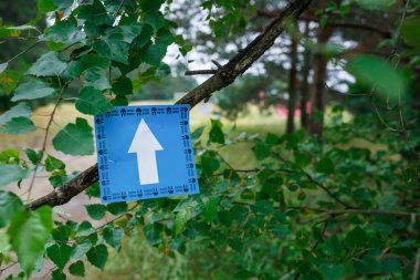 Riga Şehri, Letonya. Koşu yarışı, insanlar spor aktiviteleriyle meşguldü. Çeşitli engelleri aşmak ve kaçmak. 5.07.2020