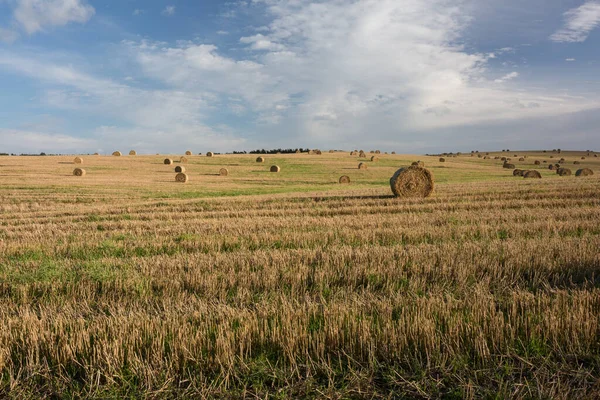 City Smiltene Lettország Hay Rollers Meadow Travel Photo 2020 — Stock Fotó