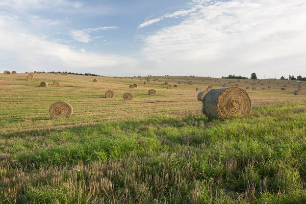 City Smiltene Lettország Hay Rollers Meadow Travel Photo 2020 — Stock Fotó