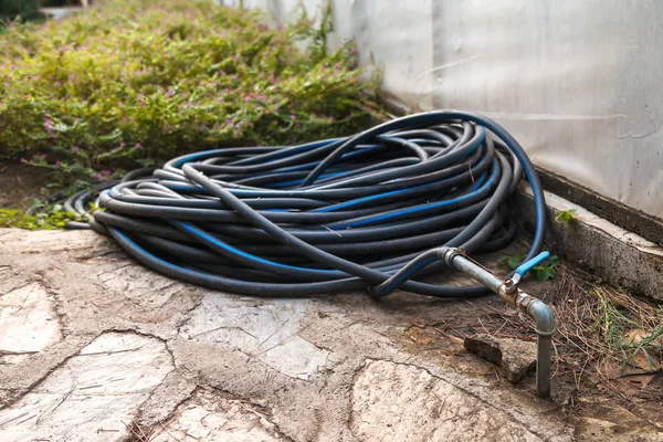 A black plastic hose with a blue stripe is twisted into rings and connected to a water pipe on the backyard
