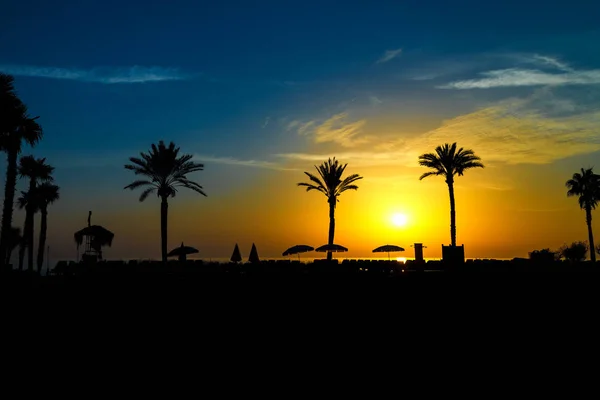 Schöne Silhouetten von Palmen und Sonnenschirmen bei Sonnenaufgang am Meer — Stockfoto