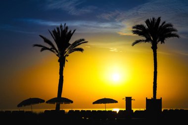 Müthiş siluetleri ve palmiye ağaçlarının yükselen güneşin renkli bir arka plan. Işık, cirrus bulutlar gökyüzünde yüzen