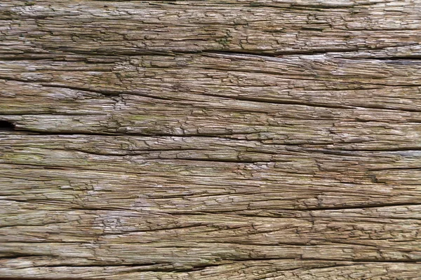 The texture of the old wooden board with deep grooves, faded in the rain and sun in the open air. Daylight. Close-up