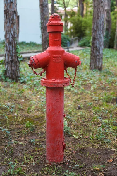 Red fire hydrant, which is used to prevent fire, installed on a lawn between trees in a park area. Close-up