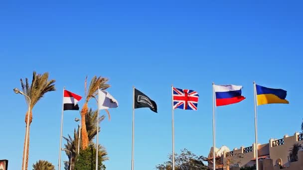 Egipto, Sharm el-Sheikh, 02 de febrero de 2016. Banderas de diferentes países se están desarrollando en asta de bandera cerca de la entrada al edificio del complejo hotelero — Vídeo de stock