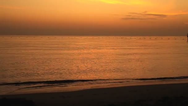 Fille court à l'aube le long du bord de la mer — Video